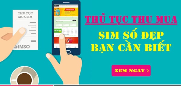 Điều khoản và điều kiện